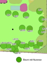 Baumkataster Geomaps  Bild: C. Munier